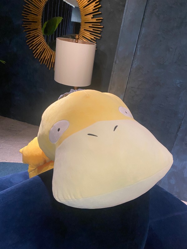 文章圖片