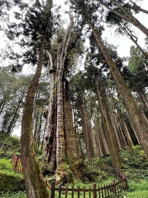 照片標題