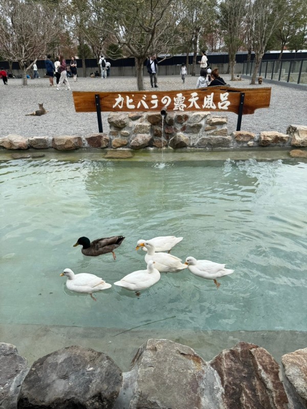 照片標題