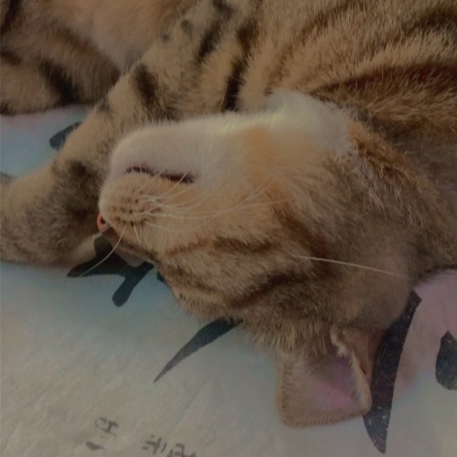 user名稱