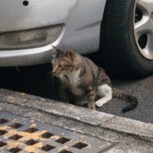 user名稱