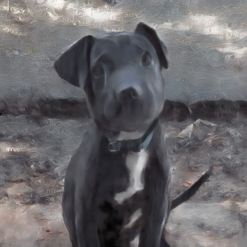 呂允文 Amy⁉️籌碼