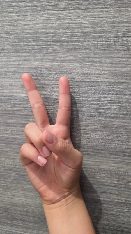 使用者上傳的照片